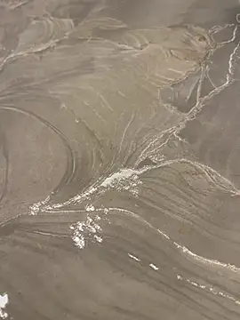 sharks90 online show from 04-10-26, 04:08