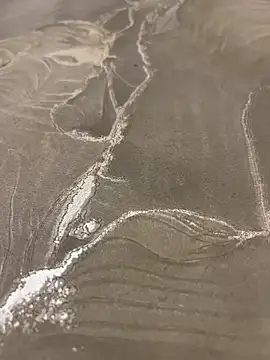 sharks90 online show from 03-19-26, 05:07