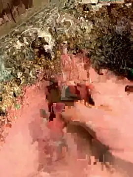 sharks90 online show from 04-05-26, 03:24