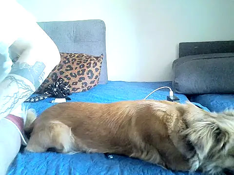 SirNefastus online show from 04-13-26, 05:11