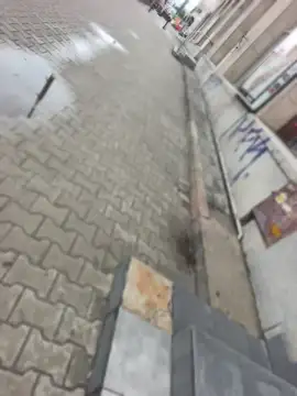 PublicMarekFlashDick online show from 07-07-26, 11:25
