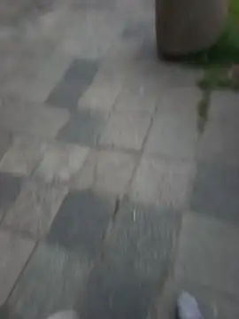 PublicMarekFlashDick online show from 05-07-26, 06:22
