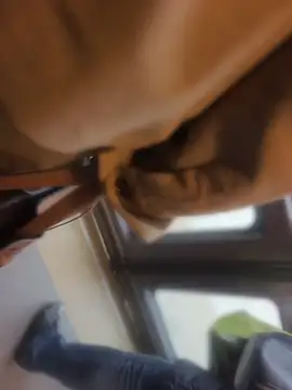 PublicMarekFlashDick online show from 05-08-26, 06:39