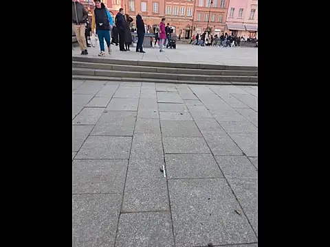 PublicMarekFlashDick online show from 03-14-26, 02:45