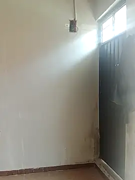 hacheshx online show from 03-16-26, 03:37