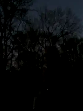 Fastrunner10 online show from 03-26-26, 12:53