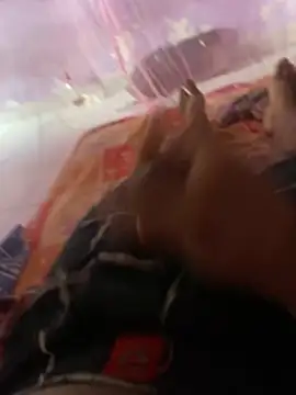 badgirl0808 online show from 03-16-26, 03:25