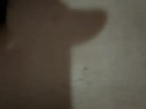 Kaan33 33 online show from 03-22-26, 08:32