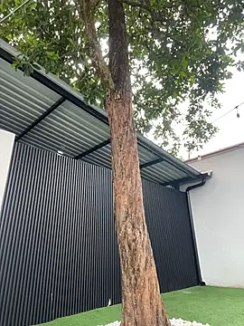 Bella-Ferrer online show from 03-14-26, 06:25