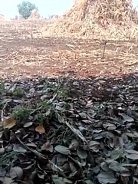 new sexy couple online show from 04-07-26, 07:10