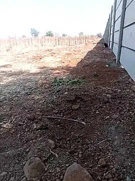 new sexy couple online show from 03-13-26, 08:19