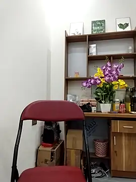 Mai phuong online show from 04-13-26, 12:47