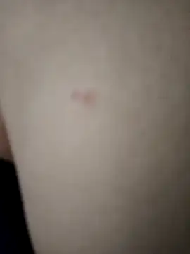 Amanda  ena- online show from 04-11-26, 07:05