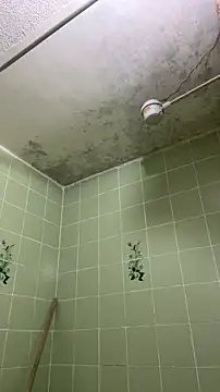 sylphiee  online show from 04-08-26, 11:55