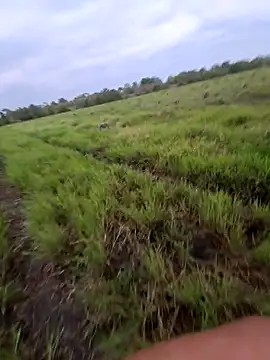 biker257 online show from 03-12-26, 11:14