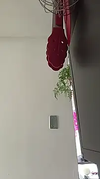 La-venus online show from 03-12-26, 08:35