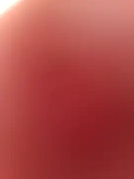 Snapshot of SkippedStill chatting on 03-13-26, 04:01 SkippedStill online show from 03-13-26, 04:01