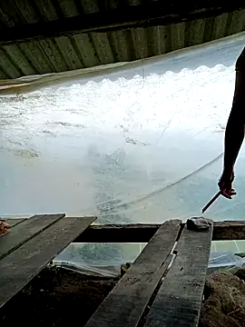 kalara kail online show from 03-25-26, 04:56