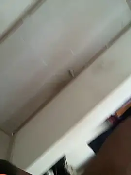 horsepassion online show from 04-07-26, 04:31