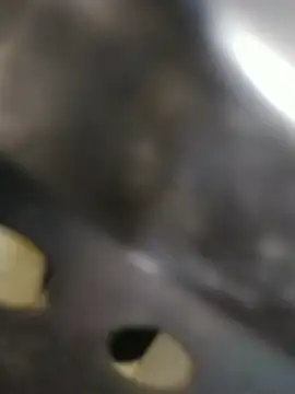 Snapshot of Rafii69 chatting on 04-01-26, 04:36 Rafii69 online show from 04-01-26, 04:36