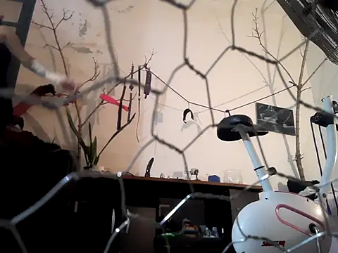 Snapshot of magdadom chatting on 03-28-26, 05:47 magdadom online show from 03-28-26, 05:47