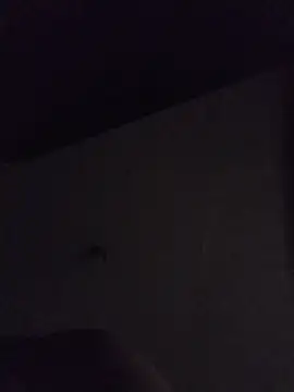 Relk130p online show from 03-22-26, 07:54