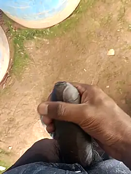 sanju 5418 online show from 03-17-26, 05:10