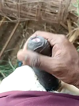 sanju 5418 online show from 04-11-26, 06:21