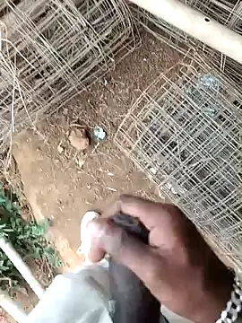 sanju 5418 online show from 04-04-26, 06:20