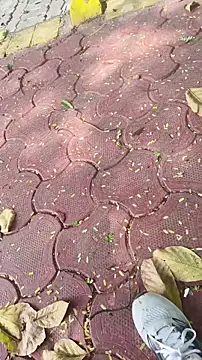 xyz 2giT online show from 03-20-26, 04:57