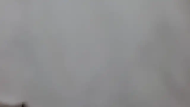 sweet afparty online show from 04-15-26, 06:56