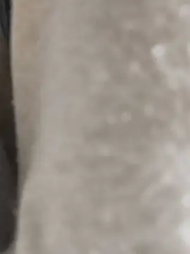 Enmy 24 online show from 03-17-26, 04:15