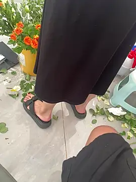 haotian8898 online show from 07-25-26, 05:37