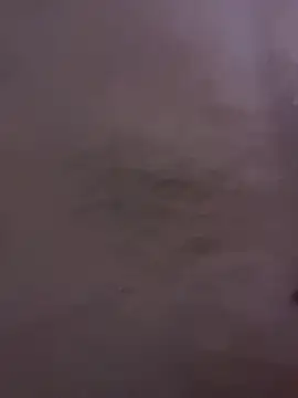 rummndo online show from 04-06-26, 04:08