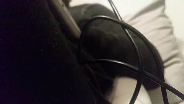 vitiligocockmasked online show from 03-22-26, 10:11