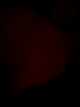 aapkichaht online show from 04-16-26, 03:57