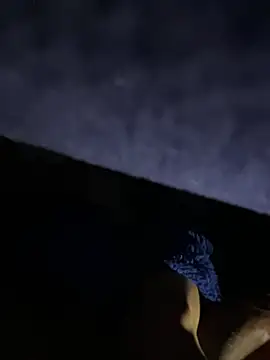BrianOmarS6581 online show from 07-25-26, 05:37