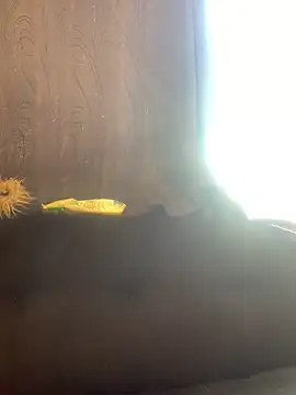 -Jack Zoe- online show from 03-20-26, 03:13