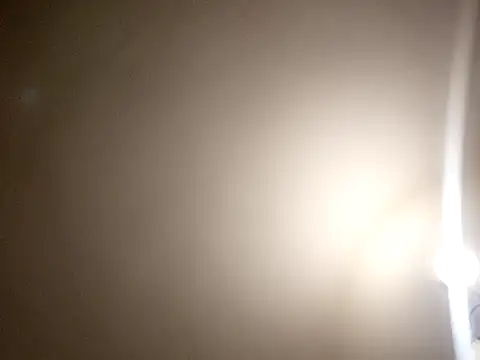 assRider21cm online show from 04-29-26, 03:43