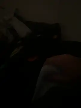 yassineamri online show from 03-28-26, 01:23