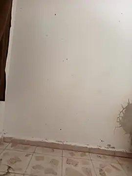 Snapshot of qamar97 chatting on 03-29-26, 08:16 qamar97 online show from 03-29-26, 08:16