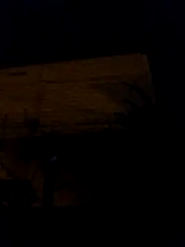 tuchokolatit0 online show from 03-23-26, 02:22