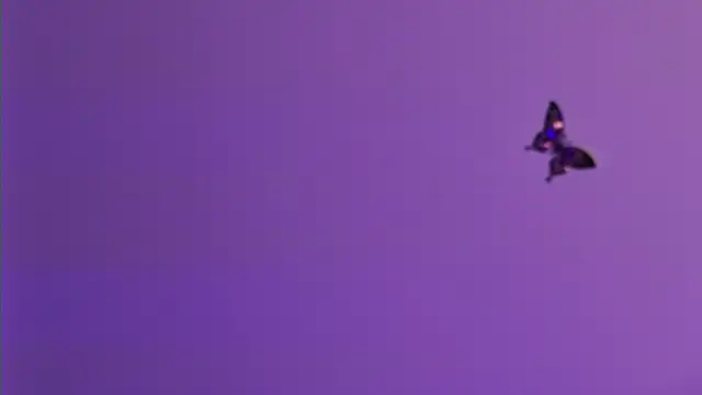 AmelieReeaa online show from 04-18-26, 04:09