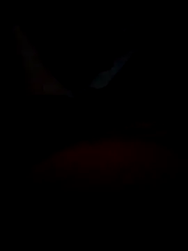 B S0051 online show from 04-10-26, 08:16