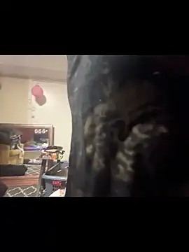 mango-kitty online show from 05-13-26, 02:13