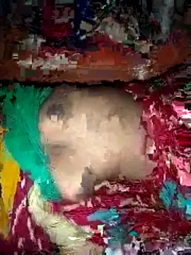 deshi girl 2007 online show from 04-16-26, 08:37