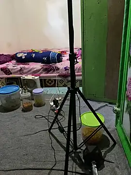 tukangcoli31 online show from 04-13-26, 12:03