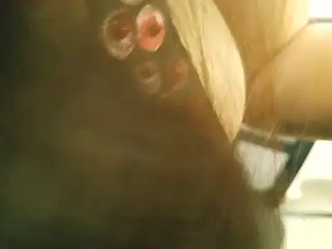 Snapshot of hey_Daisy chatting on 05-23-26, 02:32 hey Daisy online show from 05-23-26, 02:32