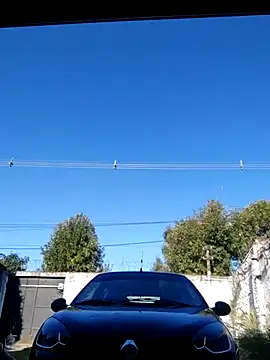 Snapshot of Switzerland32 chatting on 04-12-26, 08:56 Switzerland32 online show from 04-12-26, 08:56