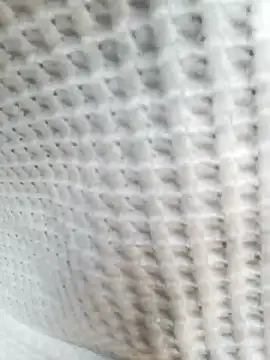 Aurora Nova online show from 03-25-26, 06:13